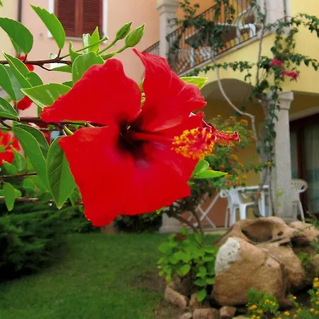 Flat With Pool In Badus * Badesi